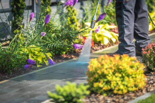 Best Restaurant Pressure Washing  in Bartlett, TX